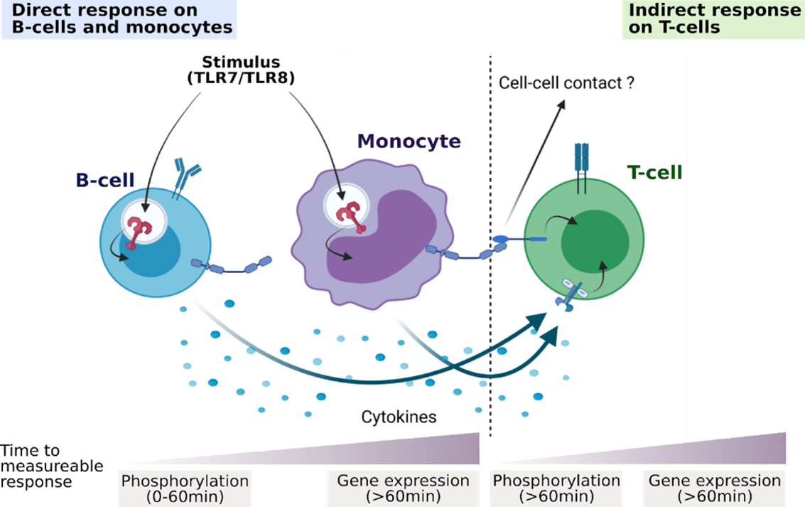 Biochemical Profiling of PBMC